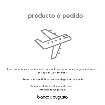 Bolsa de transporte para coche Bugaboo