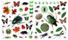 Workman Libro Eyelike Stickers -  Insectos