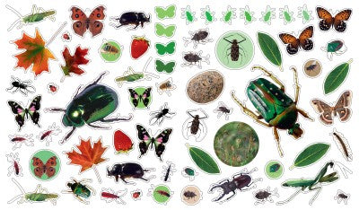 Workman Libro Eyelike Stickers -  Insectos