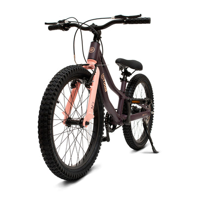 Roda Bicicleta Serie Pro Aro 20 - Pink