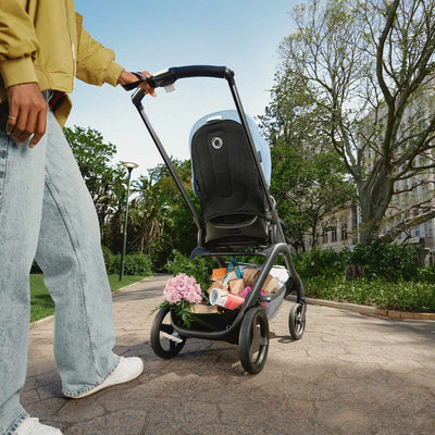 Bugaboo Dragonfly con Moises - Negro
