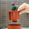 Boon Cacti Kit de cepillos de limpieza y recipiente - Verde Oscuro