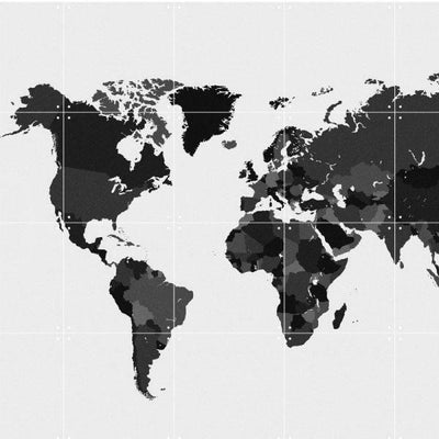 IXXI -Mural The World Black & White