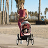 Cybex Coche Sport AVI - Silver Pink