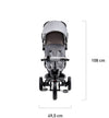 Kinderkraft Triciclo 3 en 1 AVEO - Gris